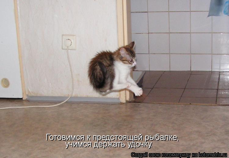 Котоматрица: Готовимся к предстоящей рыбалке, учимся держать удочку.