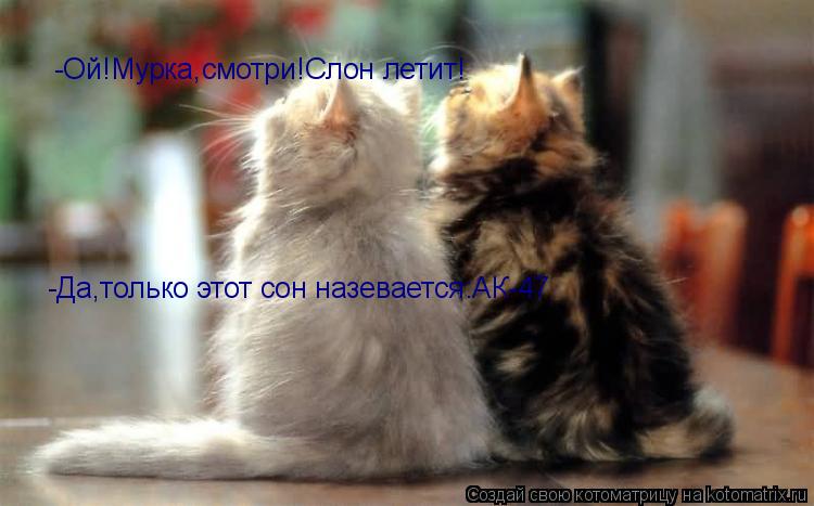 Котоматрица: -Ой!Мурка,смотри!Слон летит! -Да,только этот сон назевается:АК-47