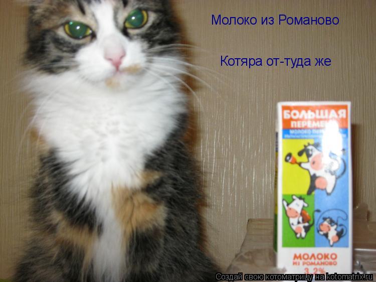 Молоко из Романово Котяра от-туда же... Котоматрица: Молоко из Романово Котяра от-туда же