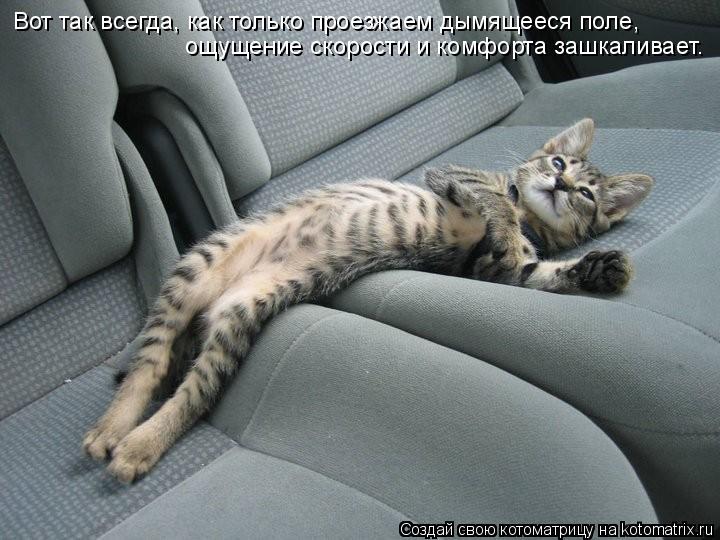 Котоматрица: Вот так всегда, как только проезжаем дымящееся поле, ощущение скорости и комфорта зашкаливает.