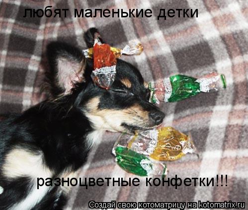 Котоматрица: любят маленькие детки  разноцветные конфетки!!!
