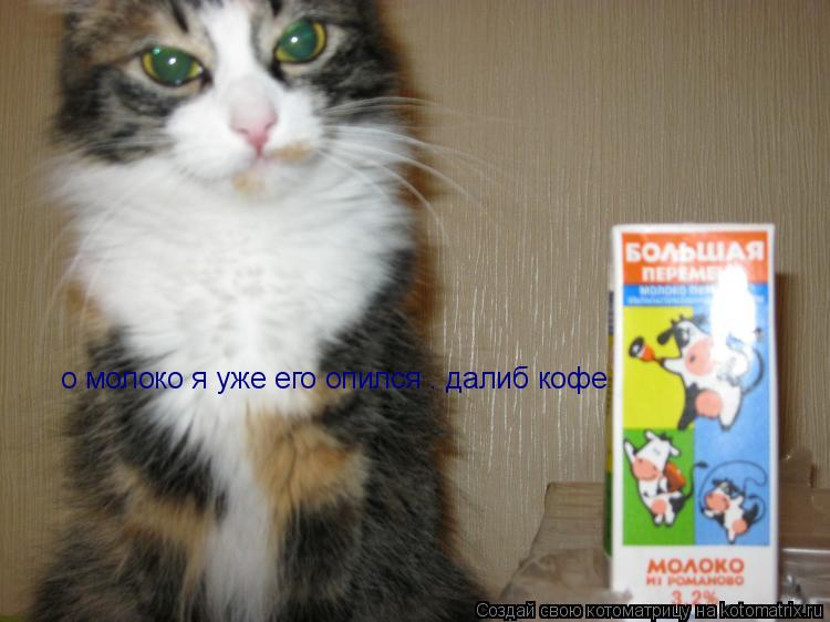 Котоматрица: о молоко я уже его опился . далиб кофе