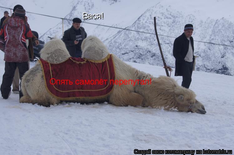 Котоматрица: Вася! Опять самолёт перепутал!