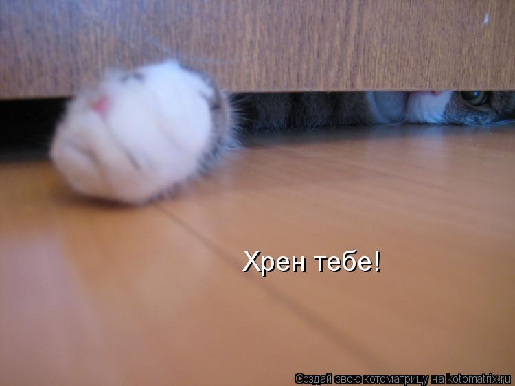Котоматрица: Хрен тебе!