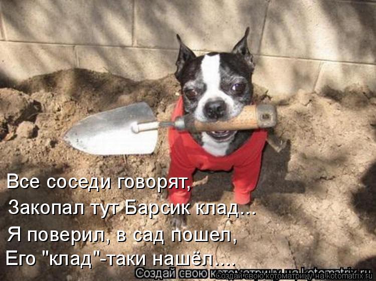 Все соседи говорят, Я поверил, в сад пошел, Закопал тут Барсик клад... Его "клад"-таки нашёл....... Котоматрица: Все соседи говорят, Я поверил, в сад пошел, Закопал тут Барсик клад... Его "клад"-таки нашёл....
