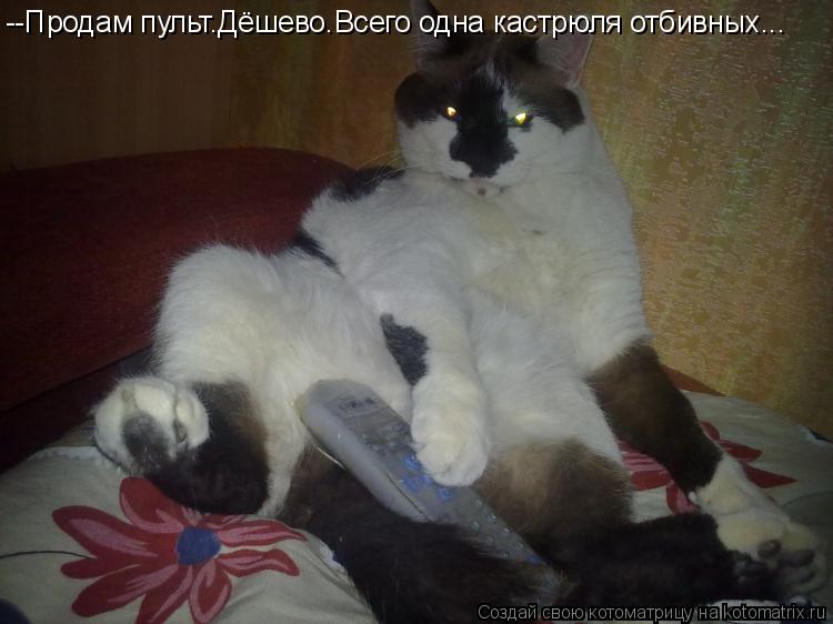 Котоматрица: --Продам пульт.Дёшево.Всего одна кастрюля отбивных...
