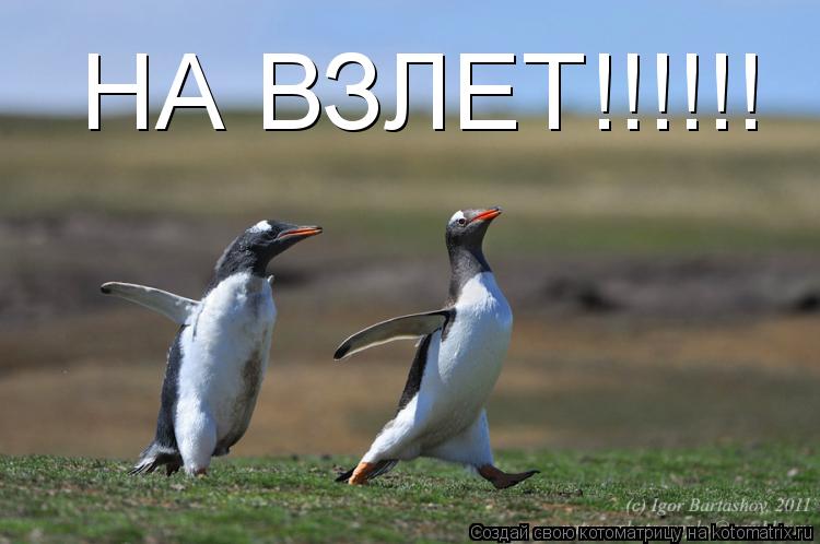 Котоматрица: НА ВЗЛЕТ!!!!!!