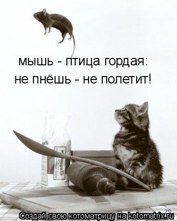 мышь - птица гордая: не пнёшь - не полетит!... Котоматрица: мышь - птица гордая: не пнёшь - не полетит!