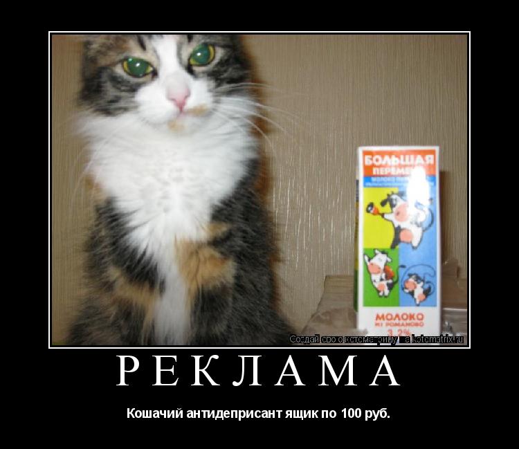 Котоматрица: РЕКЛАМА Кошачий антидеприсант ящик по 100 руб.
