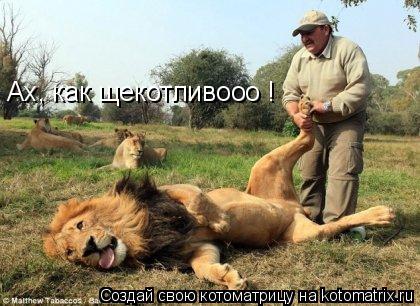 Котоматрица: Ах, как щекотливooo !