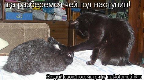 ща разберемся чей год наступил!... Котоматрица: ща разберемся чей год наступил!