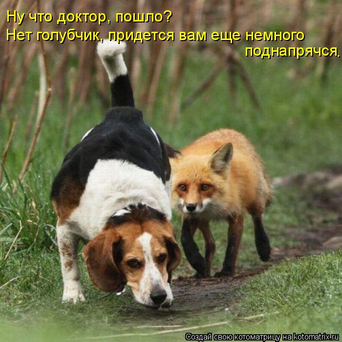 Котоматрица: Ну что доктор, пошло? Нет голубчик Нет голубчик, придется вам еще немного  поднапрячся .