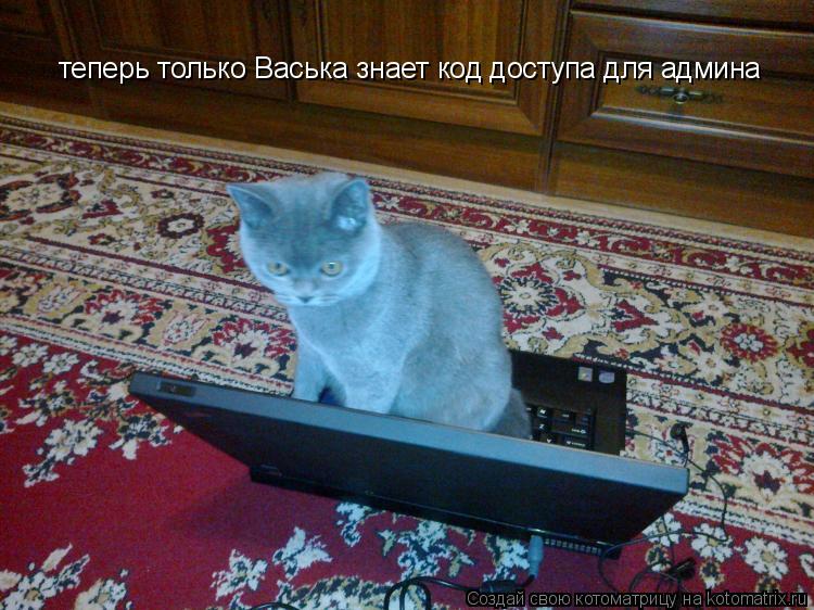 Котоматрица: теперь только Васька знает код доступа для админа