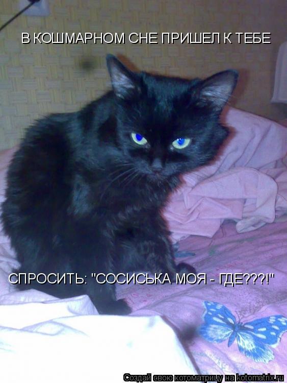 В КОШМАРНОМ СНЕ ПРИШЕЛ К ТЕБЕ СПРОСИТЬ: "СОСИСЬКА МОЯ - ГДЕ???!"... Котоматрица: В КОШМАРНОМ СНЕ ПРИШЕЛ К ТЕБЕ СПРОСИТЬ: "СОСИСЬКА МОЯ - ГДЕ???!"