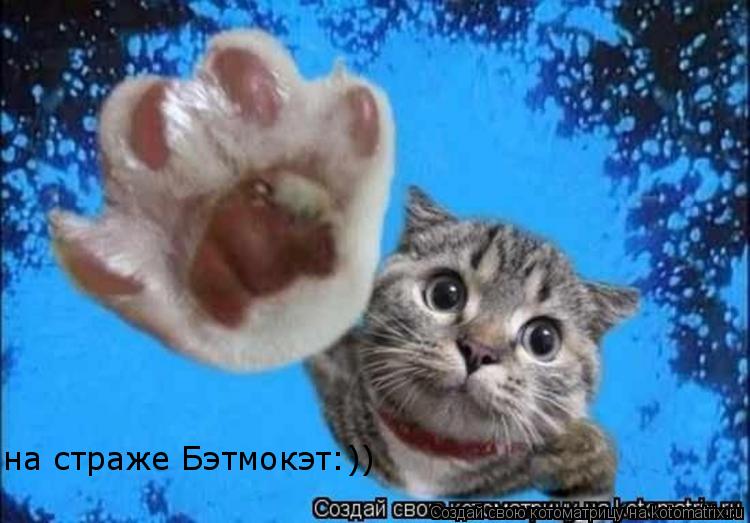 Котоматрица: на страже Бэтмокэт:))