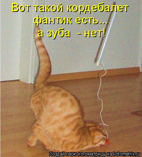 Котоматрица: Вот такой кордебалет фантик есть... а зуба  - нет!