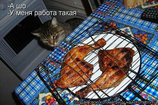 Котоматрица: -А шо -У меня работа такая