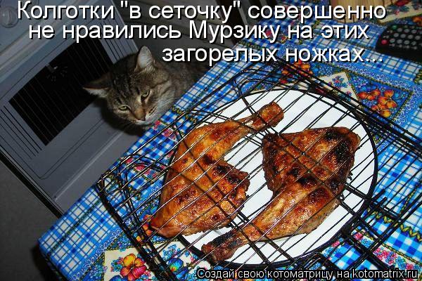 Колготки "в сеточку" совершенно не нравились Мурзику на этих загорелых ножках...... Котоматрица: Колготки "в сеточку" совершенно не нравились Мурзику на этих загорелых ножках...