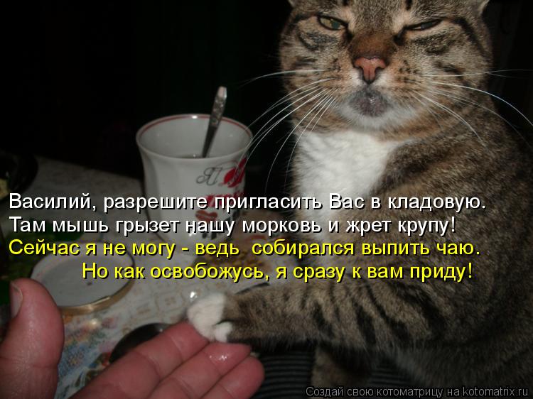 Котоматрица: Василий, разрешите пригласить Вас в кладовую. Там мышь грызет нашу морковь и жрет крупу! Сейчас я не могу - ведь  собирался выпить чаю. Но как 