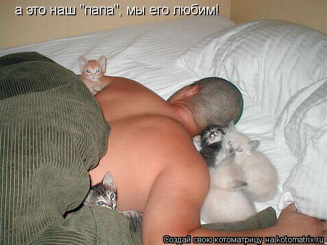 Котоматрица: а это наш "папа", мы его любим!