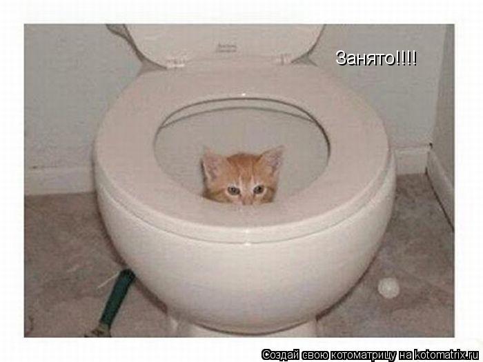 Занято!!!!... Котоматрица: Занято!!!!