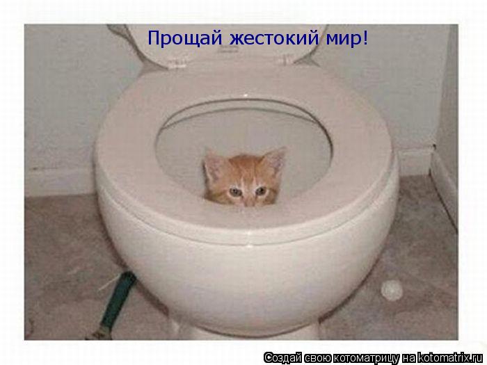 Котоматрица: Прощай жестокий мир!