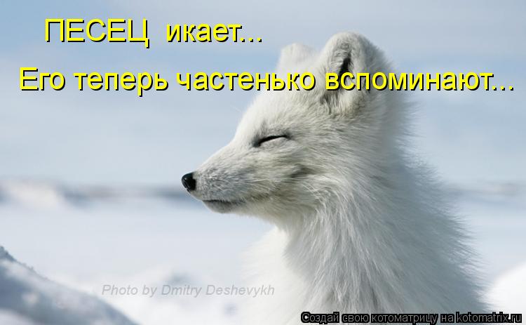 ПЕСЕЦ икает... Его теперь частенько вспоминают...... Котоматрица: ПЕСЕЦ икает... Его теперь частенько вспоминают...