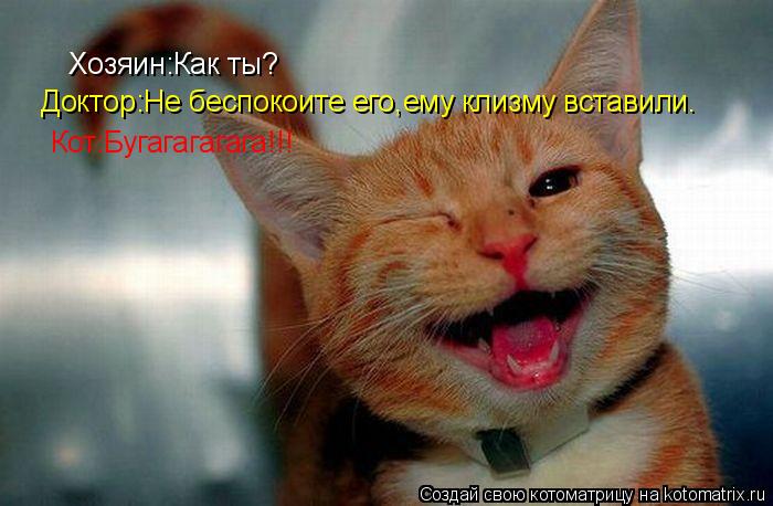 Хозяин:Как ты? Доктор:Не беспокоите его,ему клизму вставили. Кот:Бугагагагага!!!... Котоматрица: Хозяин:Как ты? Доктор:Не беспокоите его,ему клизму вставили. Кот:Бугагагагага!!!