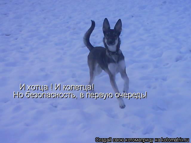 И хотца ! И колетца! Но безопасность, в первую очередь!... Котоматрица: И хотца ! И колетца! Но безопасность, в первую очередь!
