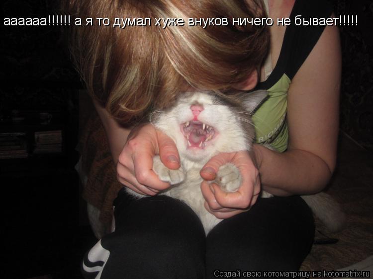 аааааа!!!!!! а я то думал хуже внуков ничего не бывает!!!!!... Котоматрица: аааааа!!!!!! а я то думал хуже внуков ничего не бывает!!!!!