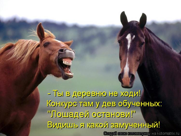 - Ты в деревню не ходи! Конкурс там у дев обученных: "Лошадей останови!" Видишь я какой замученный!... Котоматрица: - Ты в деревню не ходи! Конкурс там у дев обученных: "Лошадей останови!" Видишь я какой замученный!