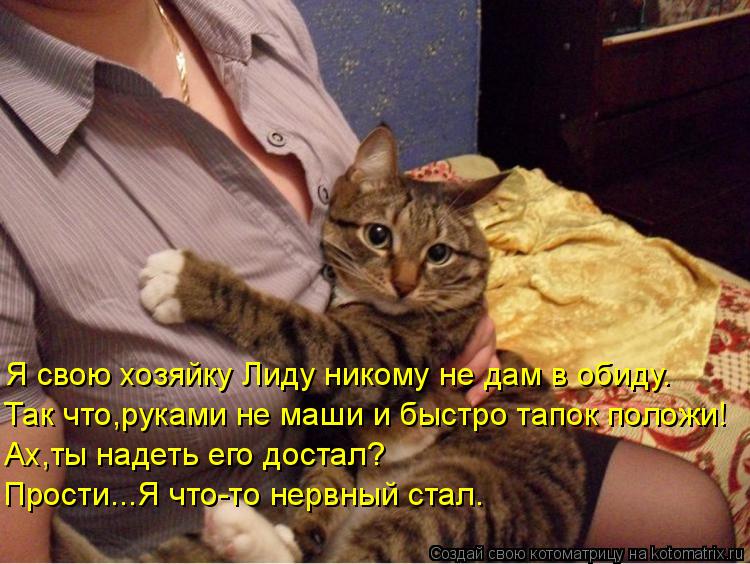 Я свою хозяйку Лиду никому не дам в обиду. Так что,руками не маши и быстро тапок положи! Ах,ты надеть... Котоматрица: Я свою хозяйку Лиду никому не дам в обиду. Так что,руками не маши и быстро тапок положи! Ах,ты надеть его достал? Прости...Я что-то нервный стал