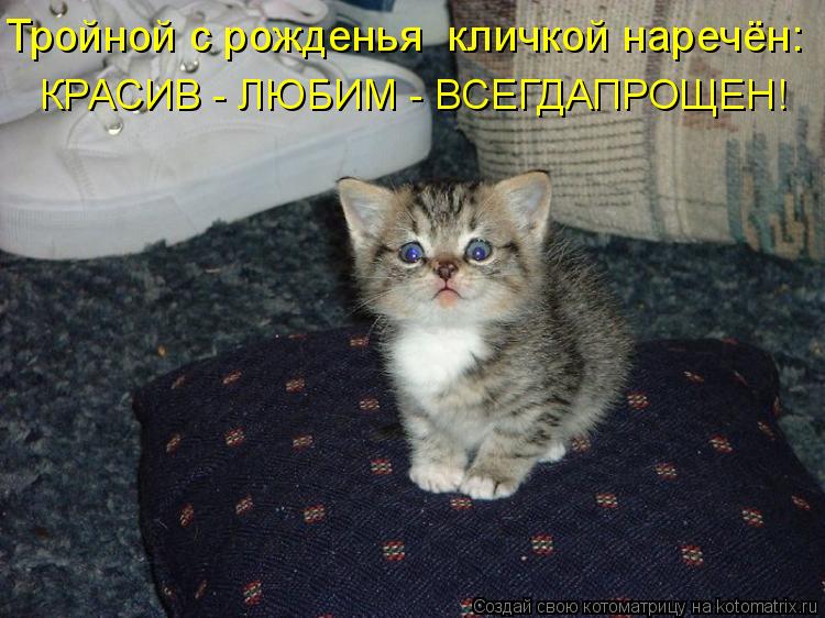Котоматрица: Тройной с рожденья  кличкой наречён: КРАСИВ - ЛЮБИМ - ВСЕГДАПРОЩЕН!