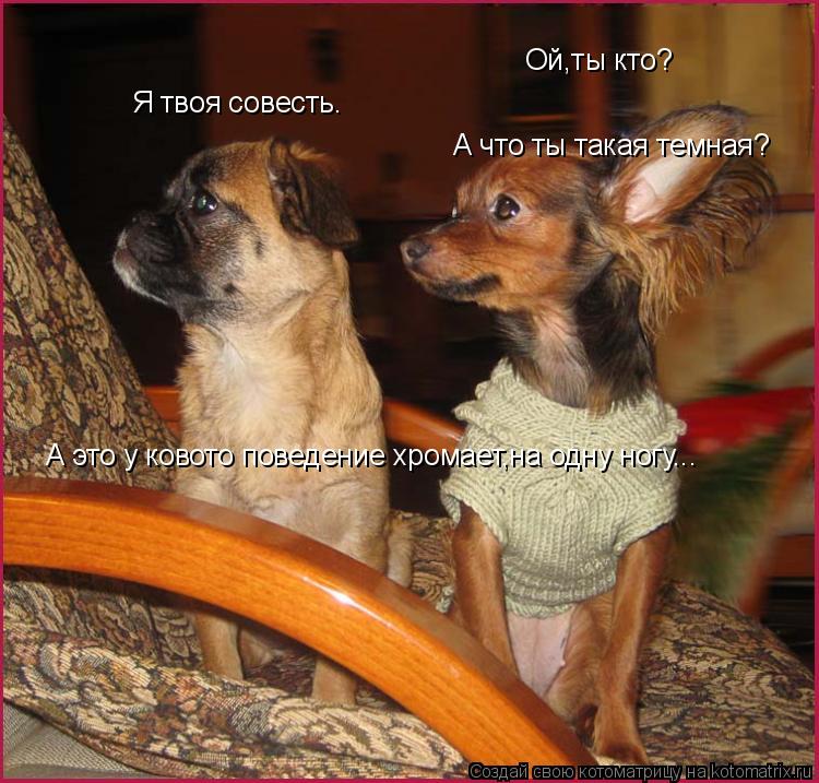 Котоматрица: Ой,ты кто? Я твоя совесть. А что ты такая темная? А это у ковото поведение хромает,на одну ногу...