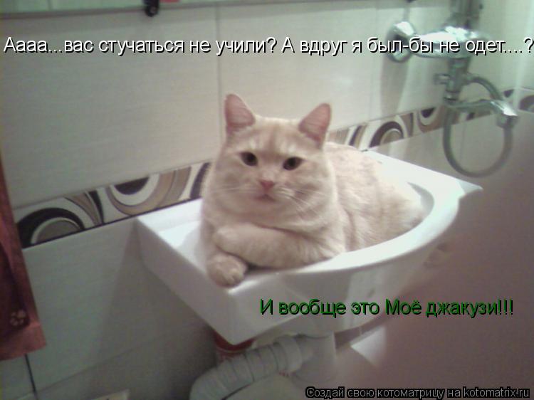 Котоматрица: Аааа...вас стучаться не учили? А вдруг я был-бы не одет....? И вообще это Моё джакузи!!!