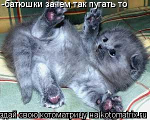 -батюшки зачем так пугать то... Котоматрица: -батюшки зачем так пугать то