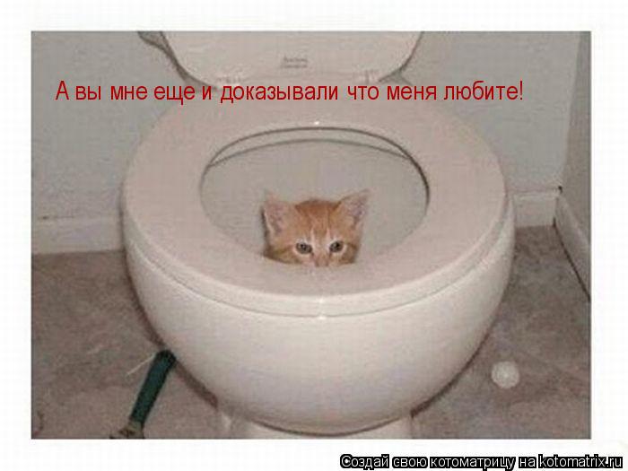 Котоматрица: А вы мне еще и доказывали что меня любите!