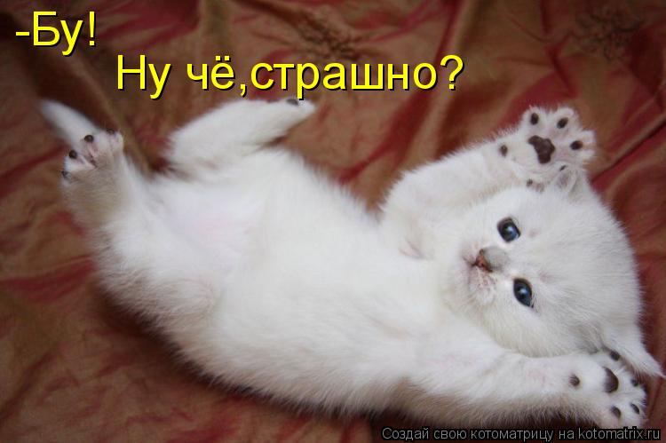 Котоматрица: -Бу! Ну чё,страшно?