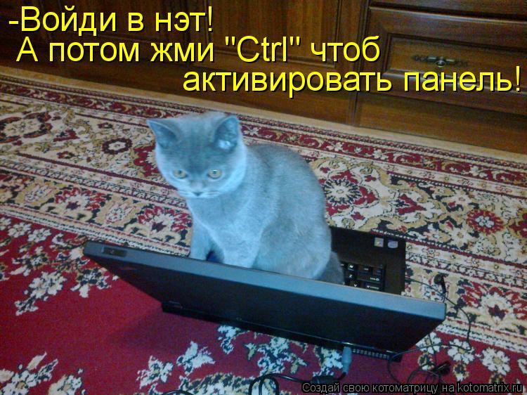 Котоматрица: -Войди в нэт! А потом жми "Ctrl" чтоб  активировать панель!