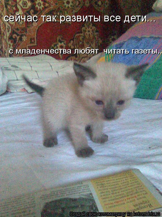 Котоматрица: сейчас так развиты все дети... с младенчества любят  читать газеты....