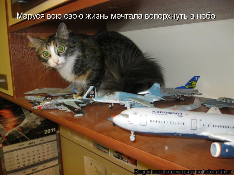 Котоматрица: Маруся всю свою жизнь мечтала вспорхнуть в небо