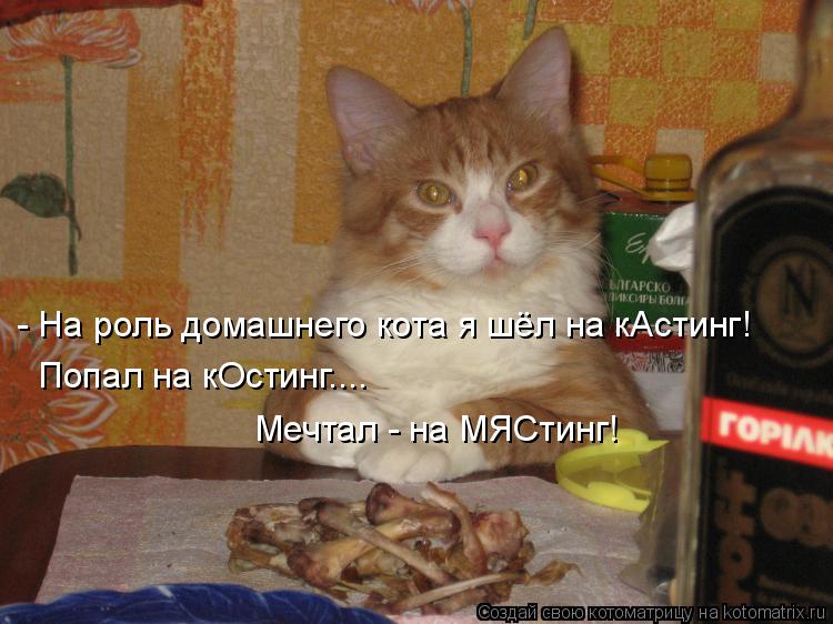 - На роль домашнего кота я шёл на кАстинг! Попал на кОстинг.... Мечтал - на МЯСтинг!... Котоматрица: - На роль домашнего кота я шёл на кАстинг! Попал на кОстинг.... Мечтал - на МЯСтинг!