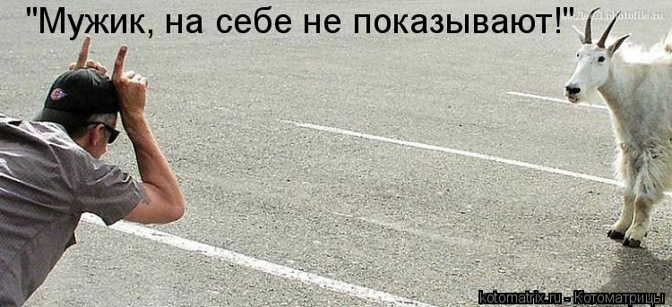 Котоматрица: "Мужик, на себе не показывают!"