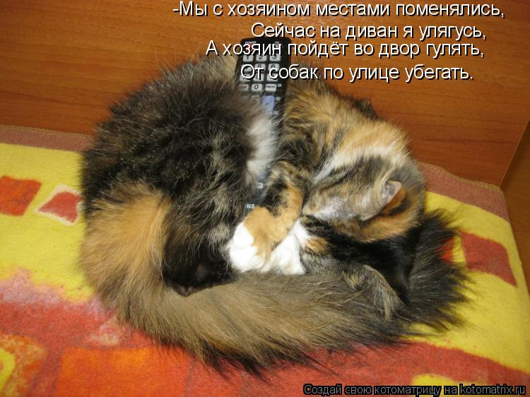 Котоматрица: -Мы с хозяином местами поменялись, Сейчас на диван я улягусь, А хозяин пойдёт во двор гулять, От собак по улице убегать.
