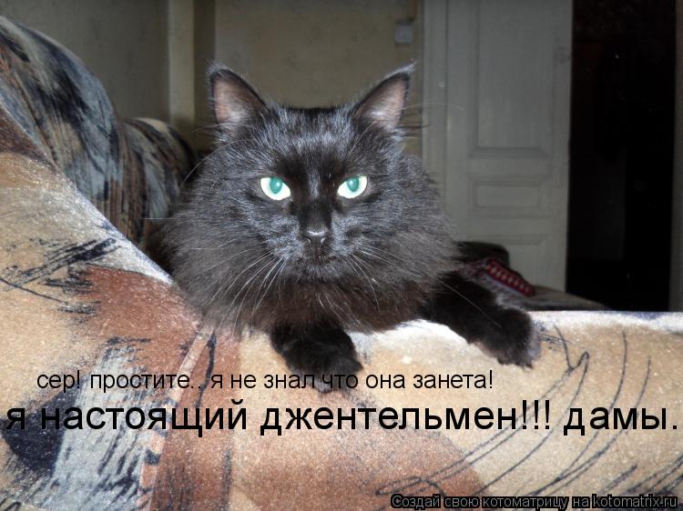 Котоматрица: я настоящий джентельмен!!! дамы... сер! простите.. я не знал что она занета!