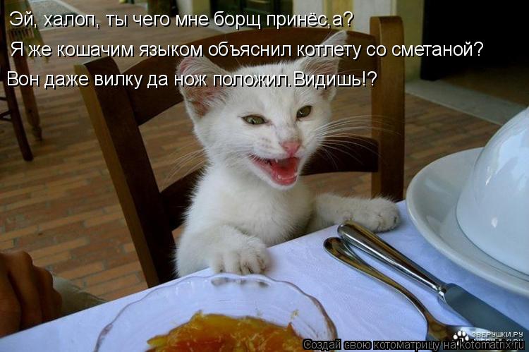Котоматрица: Эй, халоп, ты чего мне борщ принёс,а?   Я же кошачим языком объяснил котлету со сметаной? Вон даже вилку да нож положил.Видишь!?