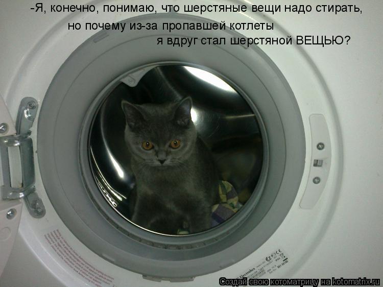 Котоматрица: -Я, конечно, понимаю, что шерстяные вещи надо стирать, но почему из-за пропавшей котлеты я вдруг стал шерстяной ВЕЩЬЮ?