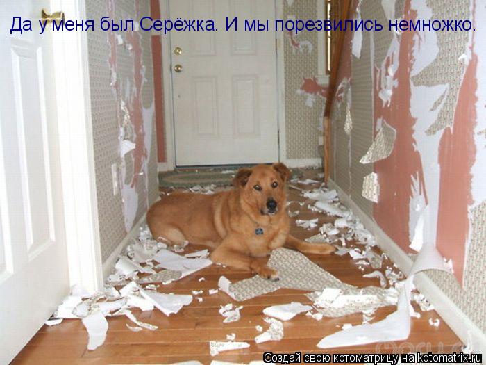 Котоматрица: Да у меня был Серёжка. И мы порезвились немножко.