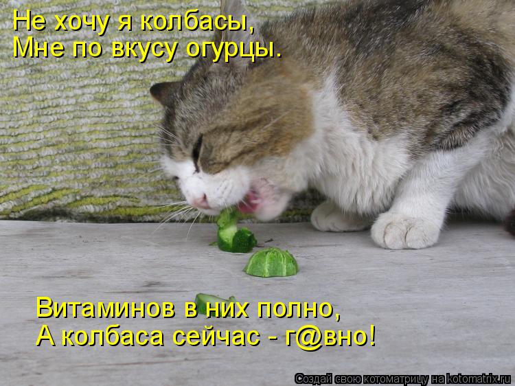 Котоматрица: Не хочу я колбасы, Мне по вкусу огурцы. Витаминов в них полно, А колбаса сейчас - г@вно!