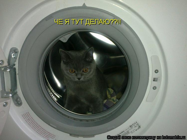 Котоматрица: ЧЕ Я ТУТ ДЕЛАЮ??!!